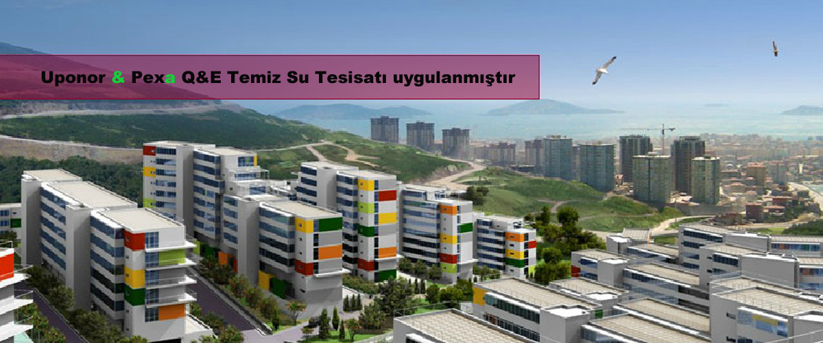 Narcity · Tepe Grup